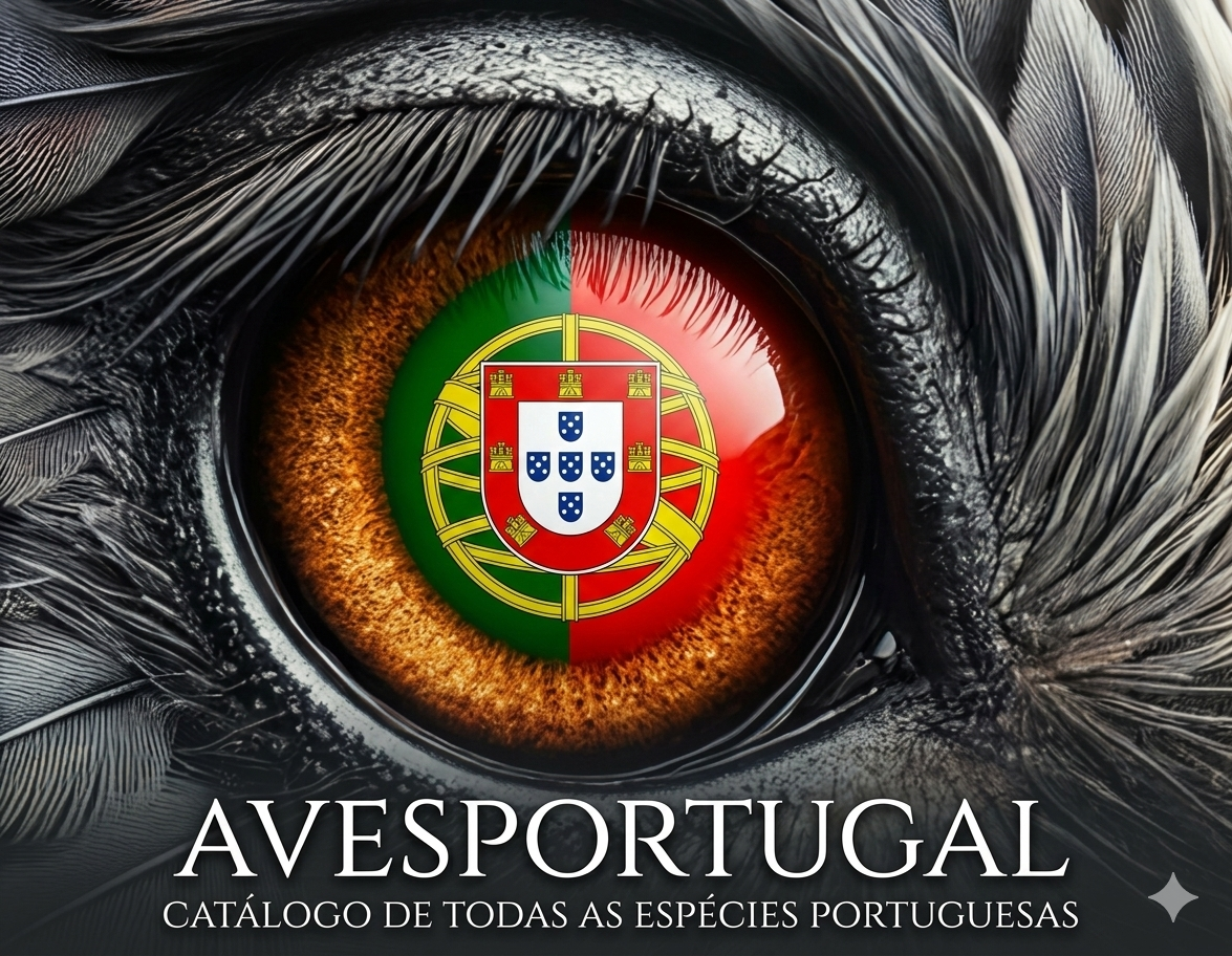 avesportugal.pt