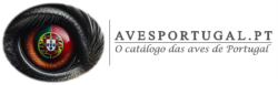 avesportugal.pt
